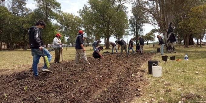 Campos verdes, pensamientos negros