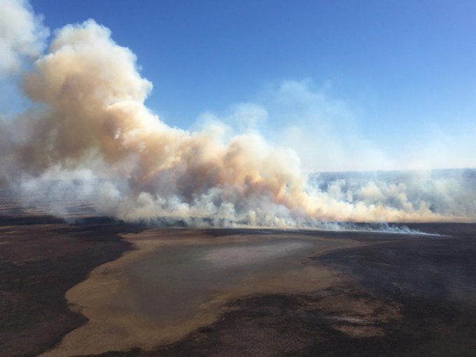 Incendios en el Delta: El gobierno amplia denuncia