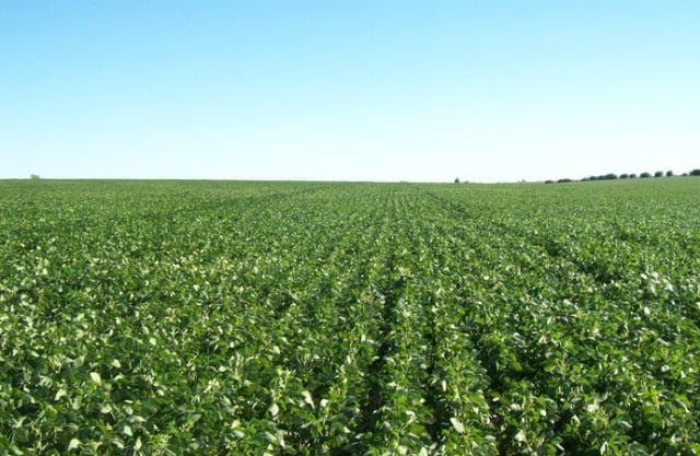 Beneficio para el campo al oficializarse la baja temporal de retenciones Beneficio para el campo al oficializarse la baja temporal de retenciones