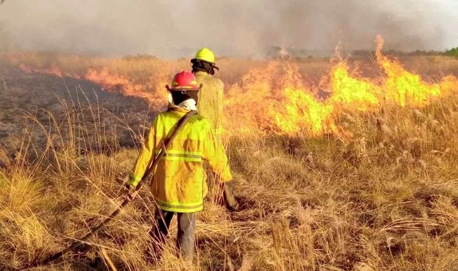 Presentó la renuncia la subsecretaria de Ambiente