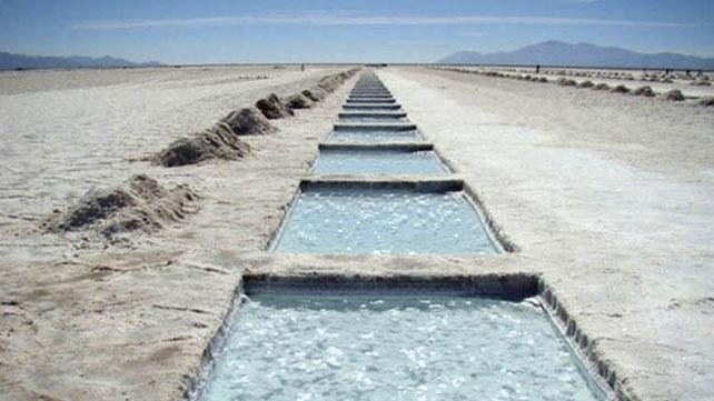 Denuncia penal contra una minera por evasión agravada Denuncia penal contra una minera por evasión agravada