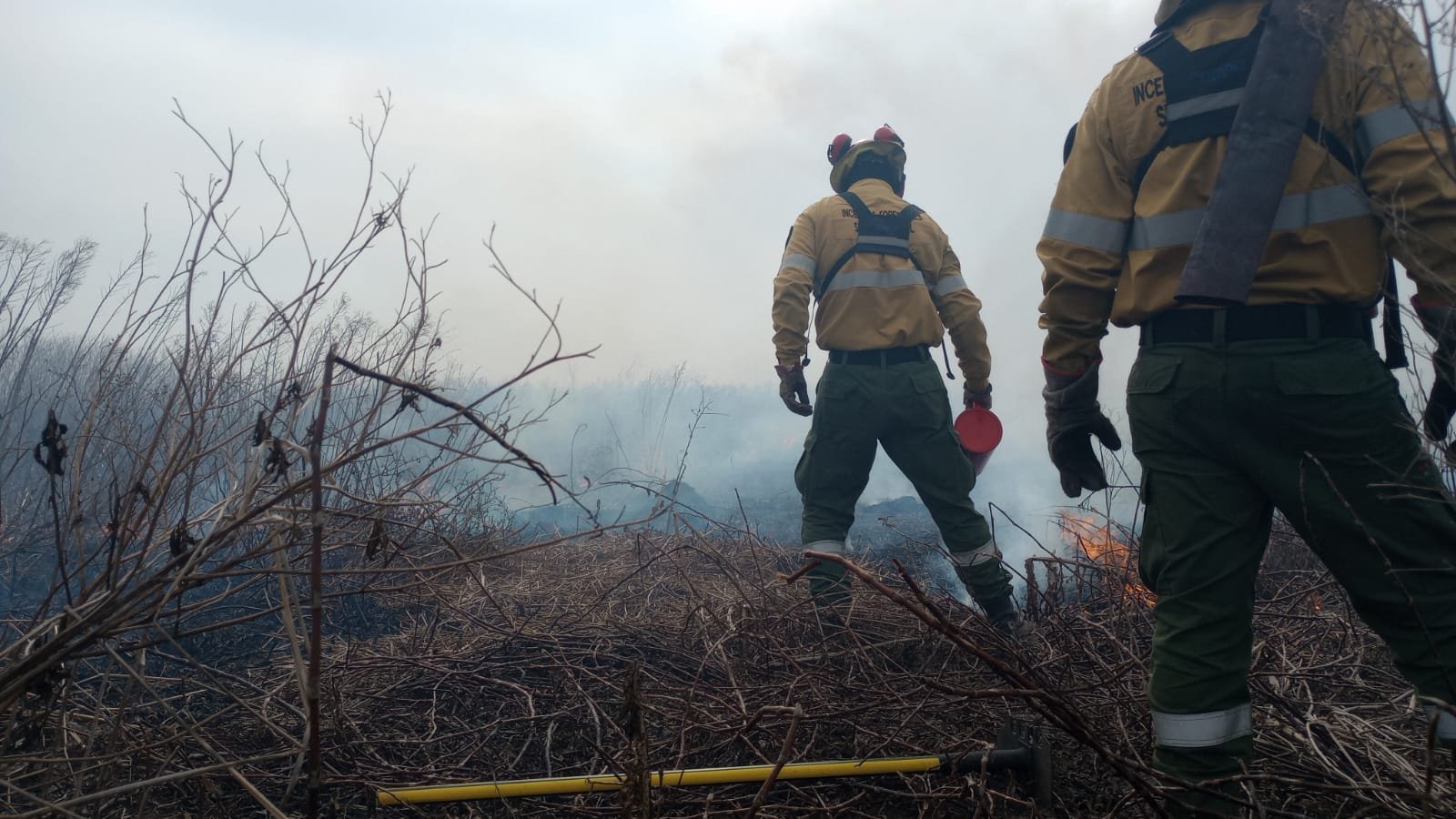 Otra vez incendio forestales en el Delta