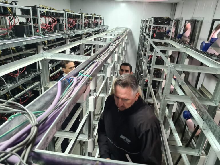 La AFIP denunció penalmente a una granja de criptomonedas La AFIP denunció penalmente a una granja de criptomonedas
