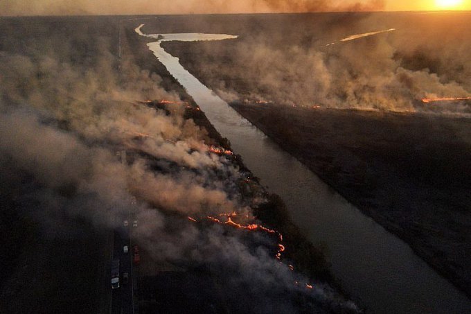 Nueve provincias con incendios forestales
