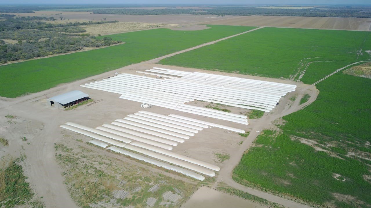 10 mil toneladas de maíz sin declarar en Chaco 10 mil toneladas de maíz sin declarar en Chaco