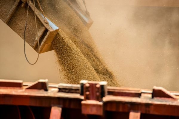 La AFIP detectó maniobras fraudulentas en exportaciones La AFIP detectó maniobras fraudulentas en exportaciones