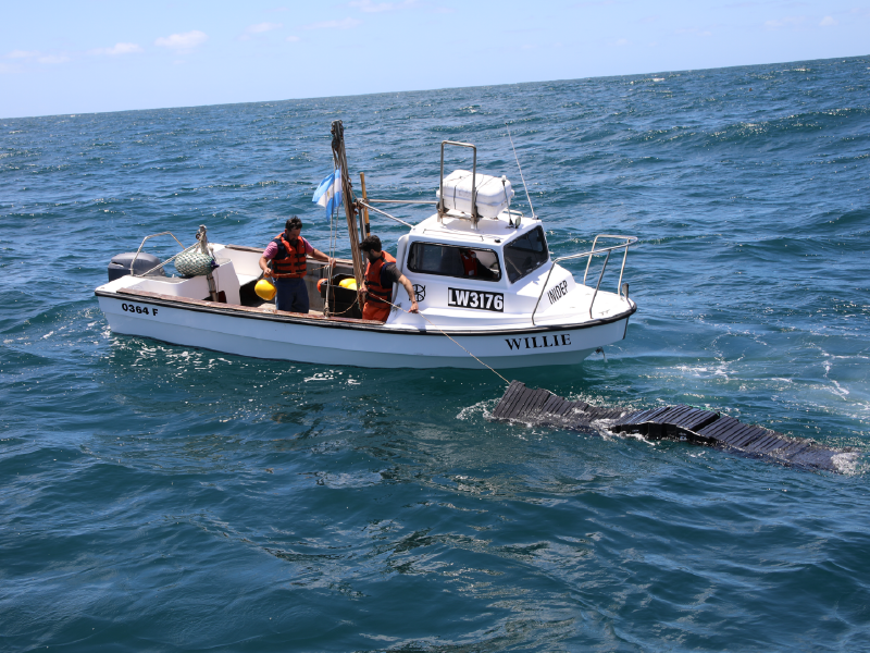Satélites para detectar plásticos en el mar argentino