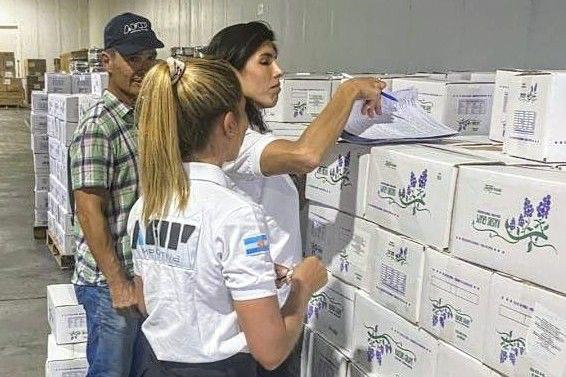 Frustran la exportación ilegal de 25 toneladas de pasas de uvas