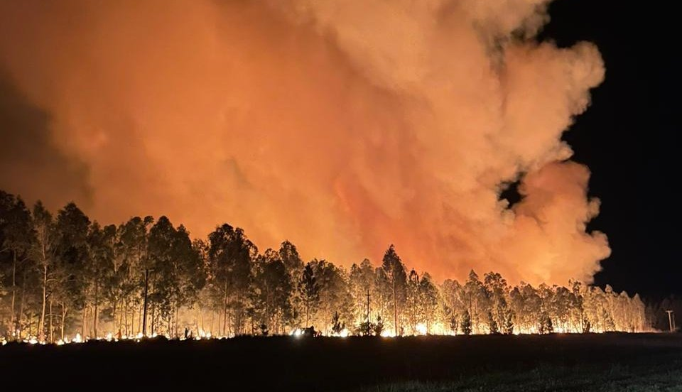 Incendios forestales en distintas localidades de Corrientes