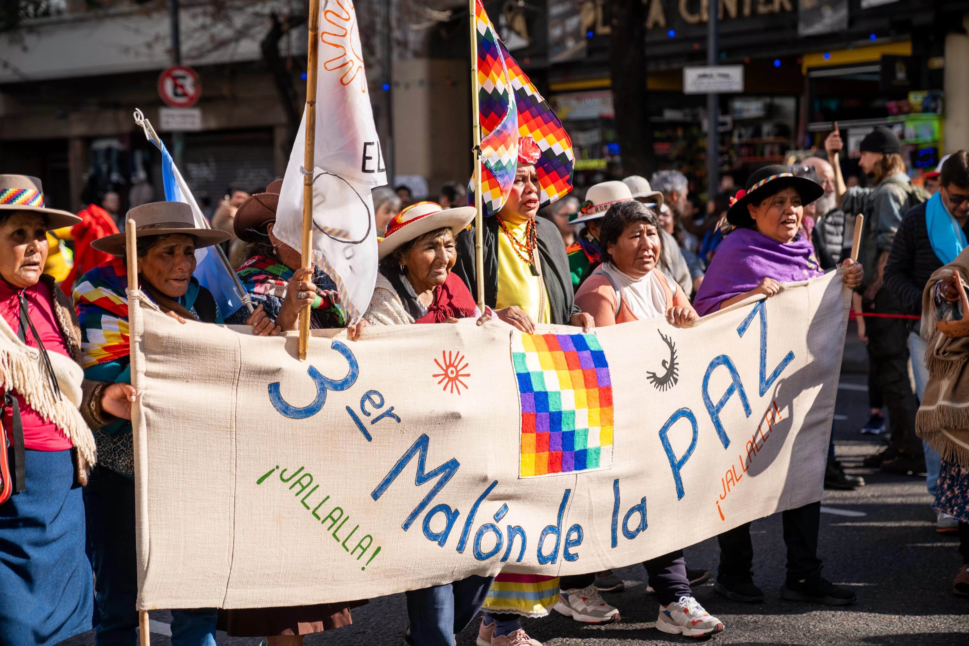 Representantes de pueblos originarios se encadenaron en Tribunales