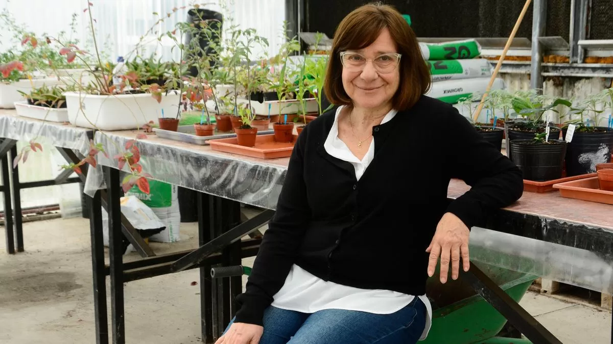 Premian a una bioquímica argentina