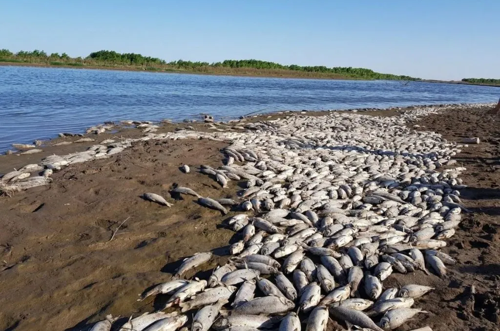 Denuncia penal por grave contaminación del río Salí en Santiago del Estero