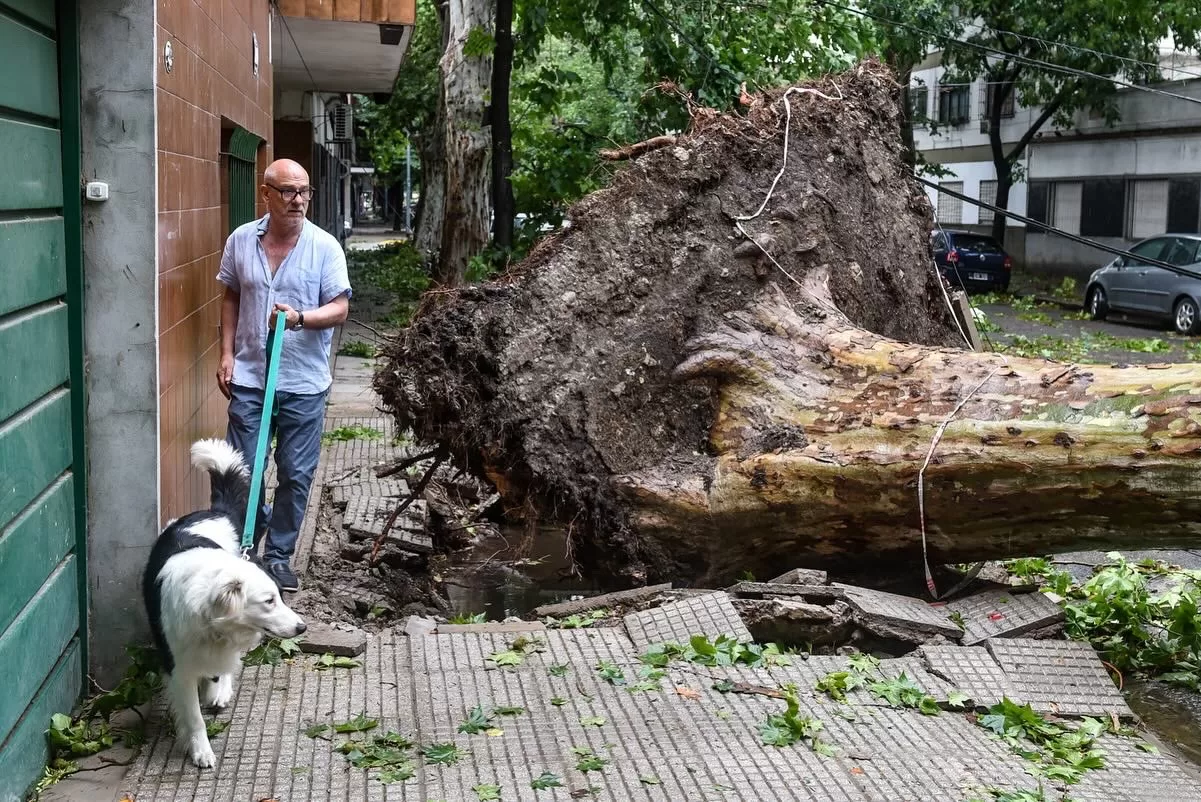 Son 45 los municipios bonaerenses más afectados por el temporal