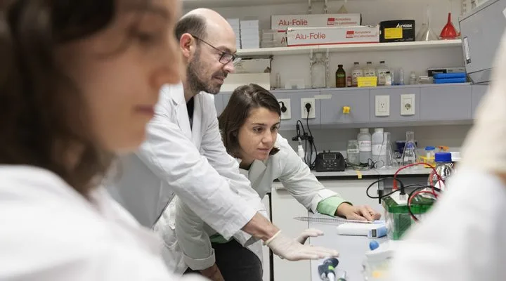 Especialistas del CONICET identifican una molécula que regula la respuesta al estrés
